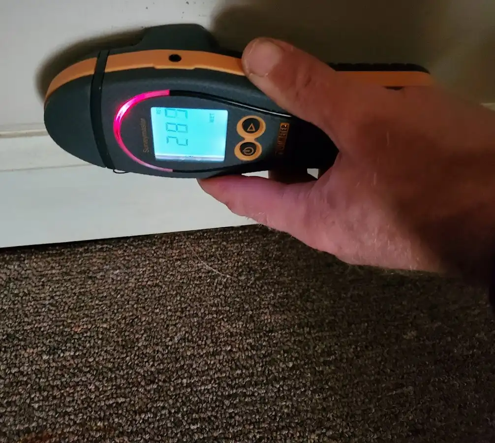 Moisture detection at baseboard during Sewage Cleanup & Sanitation in Rupert